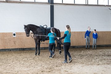 Bild 44 - Voltigierturnier